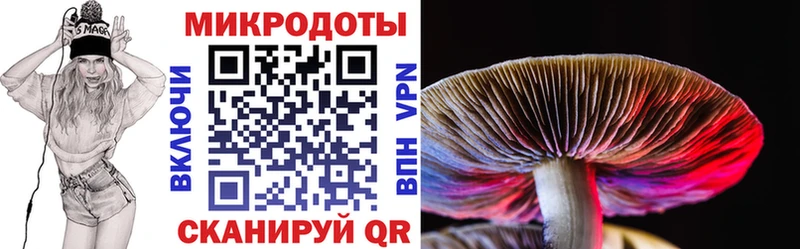 Псилоцибиновые грибы Psilocybe  дарнет шоп  площадка какой сайт  Черногорск 